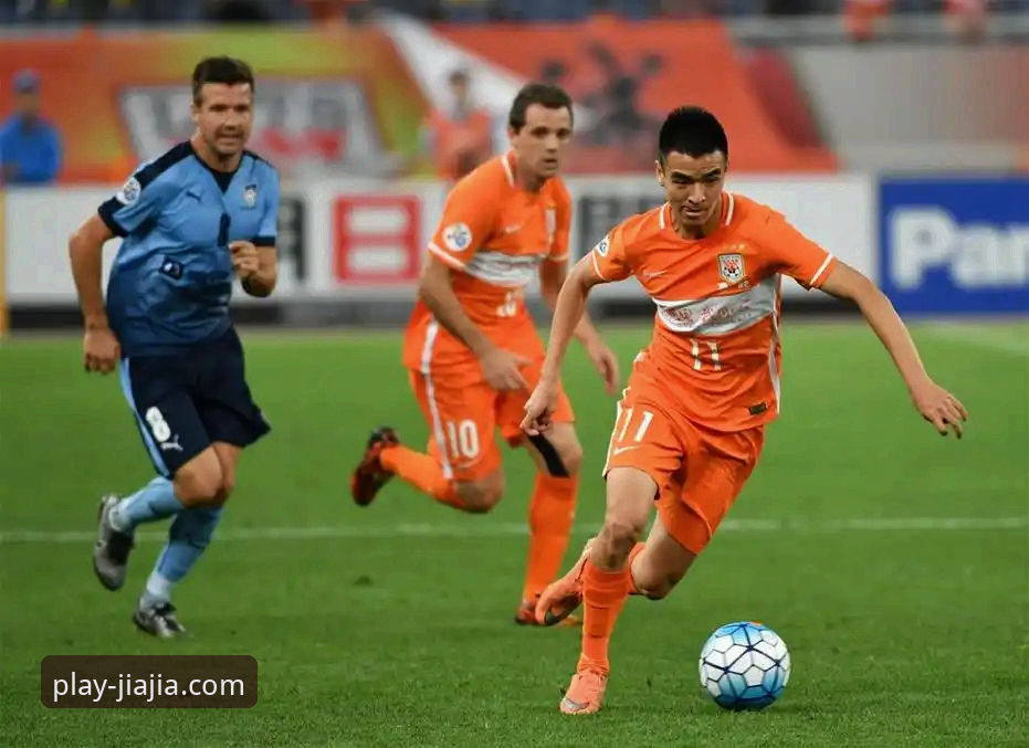 加加体育信誉如何安装失败 vs. 官方正版下载：问题根源与解决方案的深度剖析