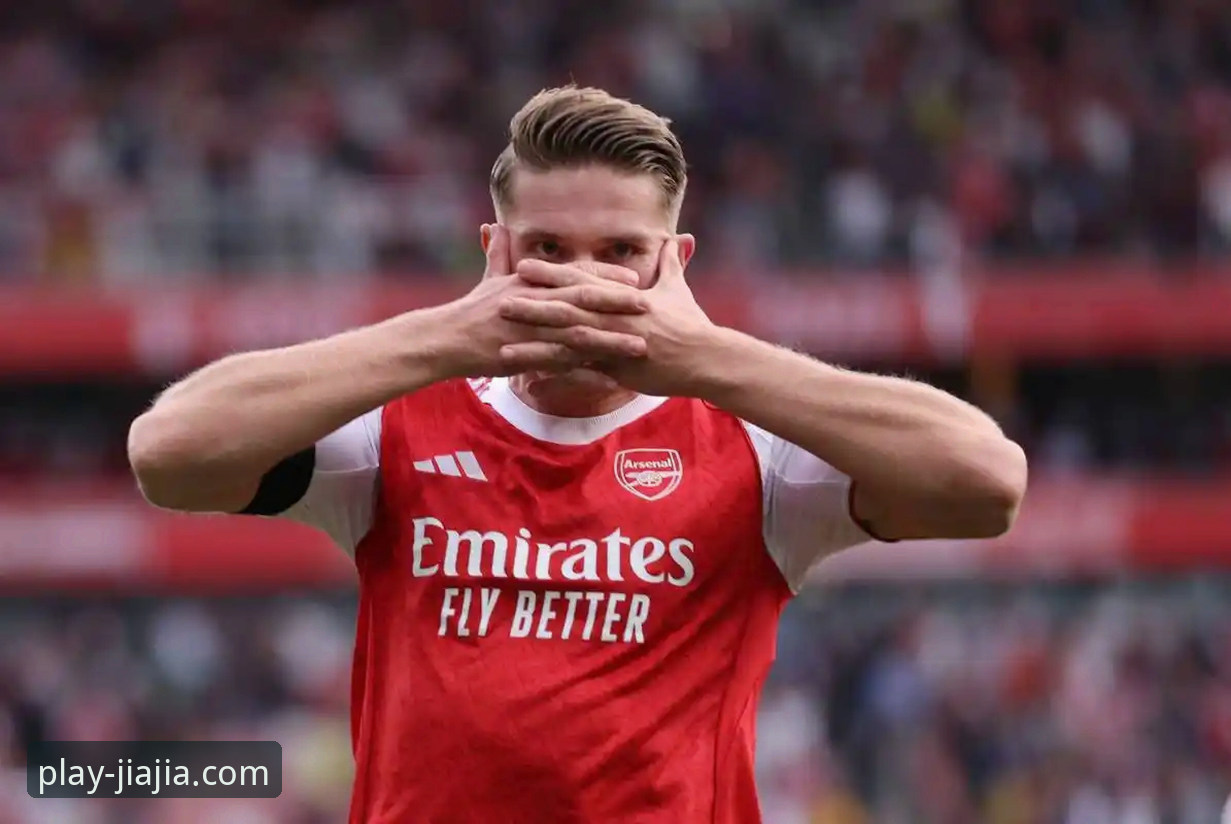 资深球迷深度复盘：民主刚果加时绝杀重返世界杯，加加体育平台观赛全记录